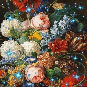 Meet your Posher, Ahva